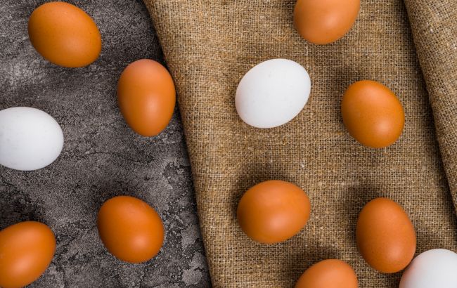 Болгарія вимагає від ЄС захисту від зростання імпорту яєць з України