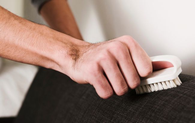 7 секретів догляду за м&rsquo;якими меблями, щоб вони завжди були як нові