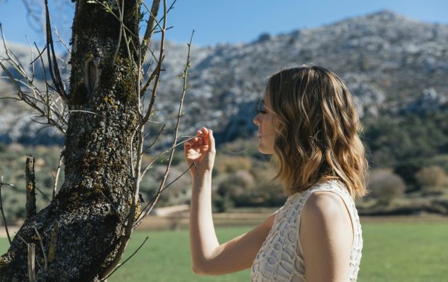 Дерево раптово сочиться восени: коли це норма, а коли - ознака хвороби