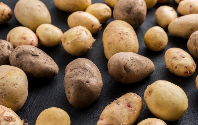 Это должен знать каждый: безопасно ли есть пророщенный картофель