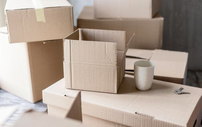 5 речей, які не слід зберігати в картонних коробках: причина здивує