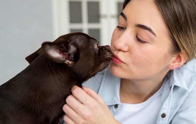 Врач рассказала, существуют ли гипоаллергенные породы собак на самом деле