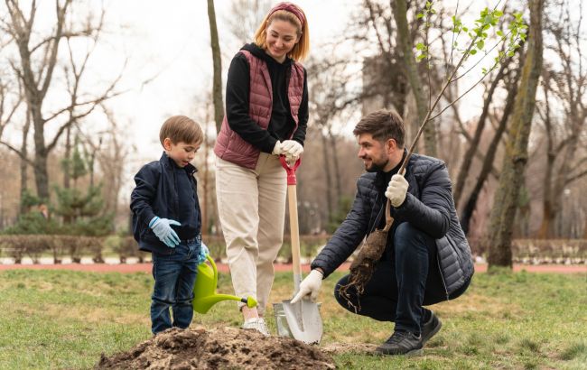 Що садити восени в саду: дерева і кущі, які добре приживуться
