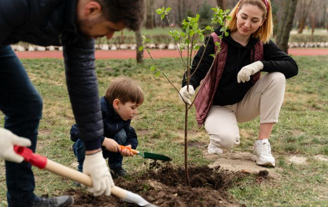 Які дерева треба встигнути посадити восени: поради для дачників
