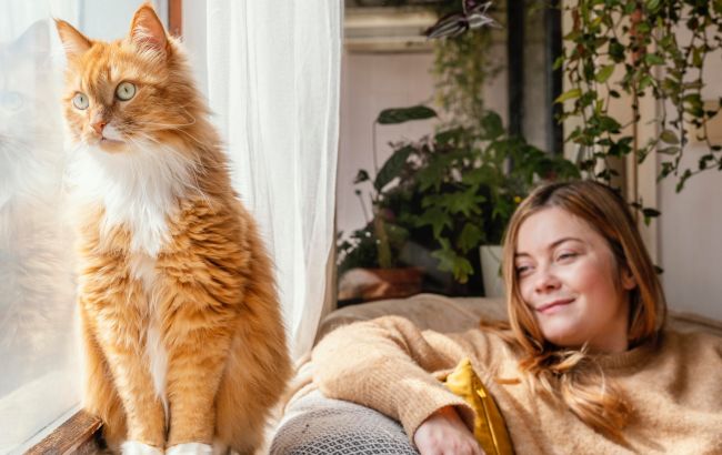 Чи можуть коти відрізнити "своїх" людей від "чужих" і як вони це роблять