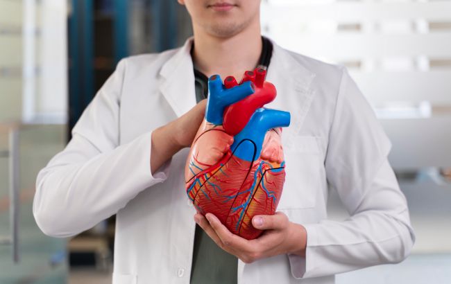 Майже наукова фантастика. Вчені з'ясували, чи можуть донорські органи мати пам'ять