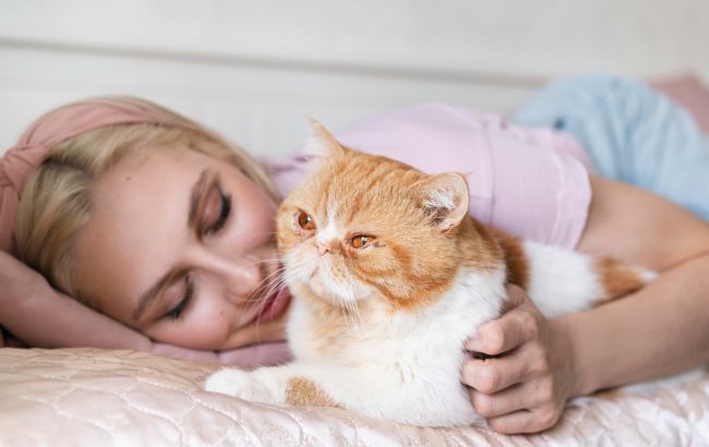 Якщо кіт спить біля голови - чекайте змін у житті: що означає ця звичка тварини