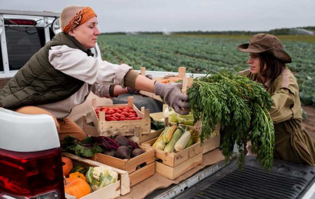 Артишоки, бамія і куркума. Як теплі зими змінять звичний набір овочів і фруктів в Україні