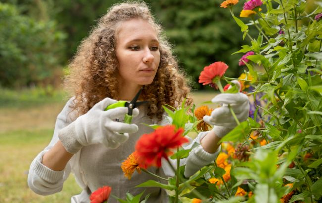 8 розповсюджених помилок в садівництві, які шкодять рослинам