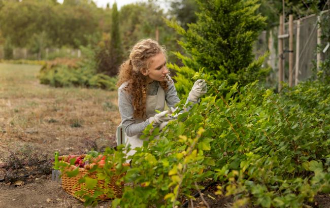 Вы рискуете урожаем: 5 вещей, которые надо учесть перед посевом