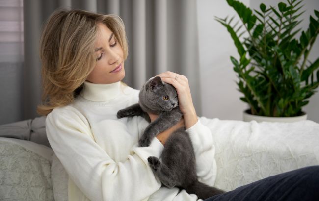 Чи справді коти впливають на здоров'я людини? Лікар назвав неочікувані переваги