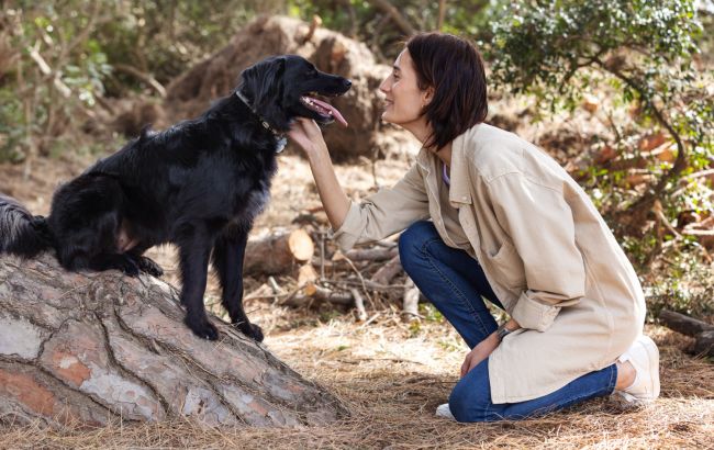 10 неприхотливых в уходе пород собак, которые станут настоящим другом владельцу