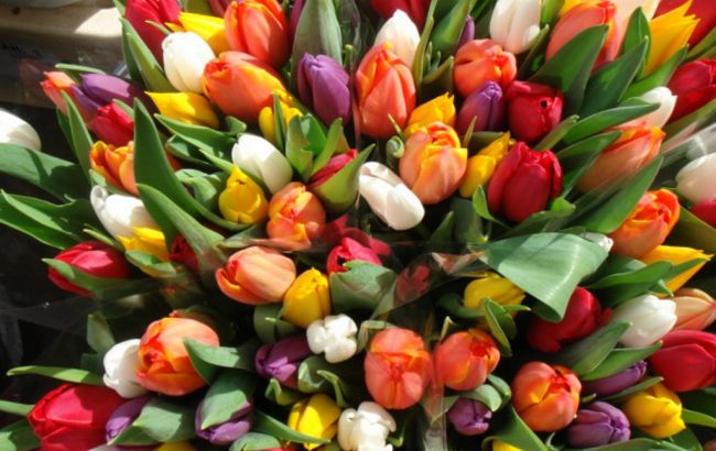 В Украине сегодня отмечают Международный женский день