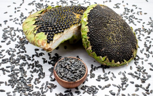 Скільки калорій у соняшниковому насінні? Тренер здивував цифрою