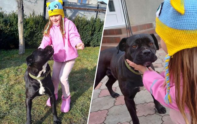Сім'я загиблого захисника прихистила собаку, якого військовий приручив на фронті (фото)