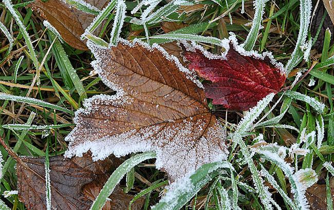 Синоптики предупреждают об ухудшении погодных условий в Украине 29-30 октября