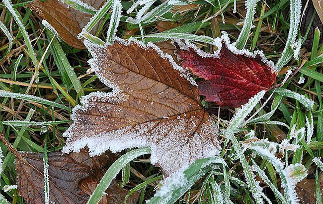 Синоптики попереджають про заморозки в Україні до 1 жовтня