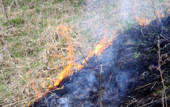 У Києві 3-7 серпня очікується надзвичайна пожежна небезпека