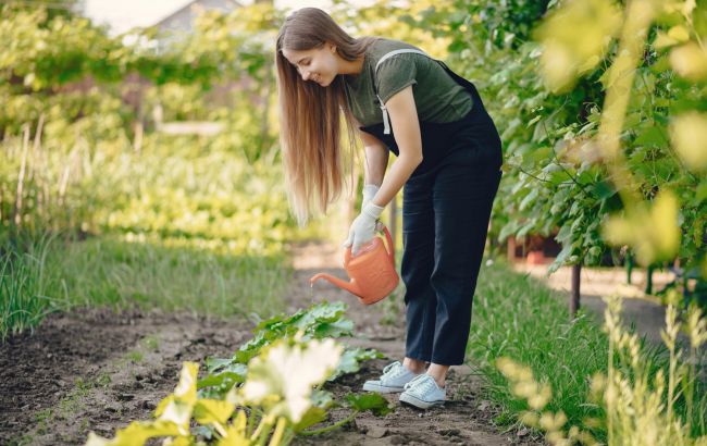 Що не можна робити садівникам та городникам у травні: уникайте цих помилок