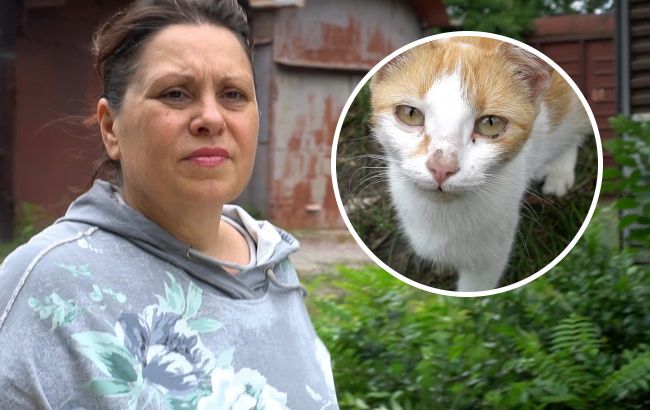 "Там розруха та руїни": волонтер у Запорізькій області годує сотні тварин, яких покинули люди