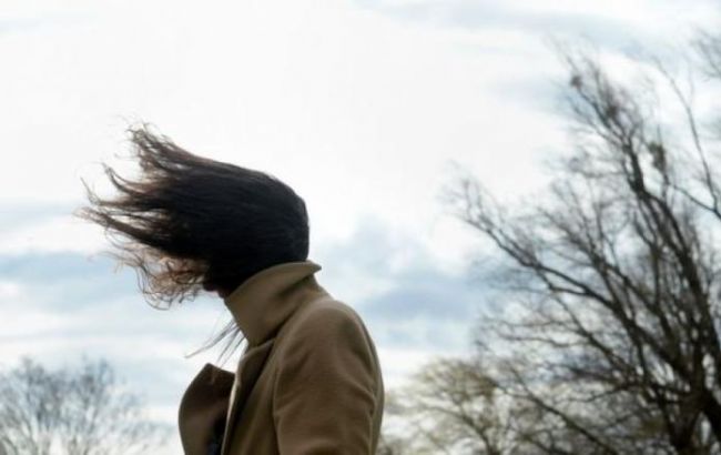 ДСНС попереджає про сильні пориви вітру в Україні 29-30 березня