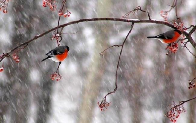 Синоптики предупреждают о резком изменении погодных условий в Украине