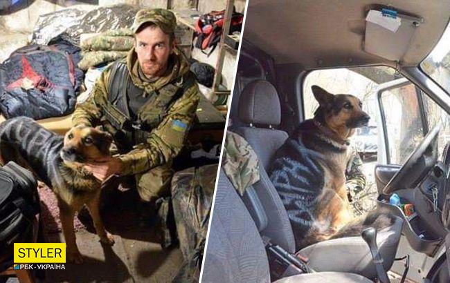 В ее уставших глазах угасала жизнь: ВСУ спасли овчарку, которую оккупанты разрисовали краской