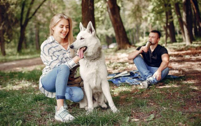Он, она и животное: что делать, когда отношения прекрасные, но партнер не выносит вашего кота или собаку