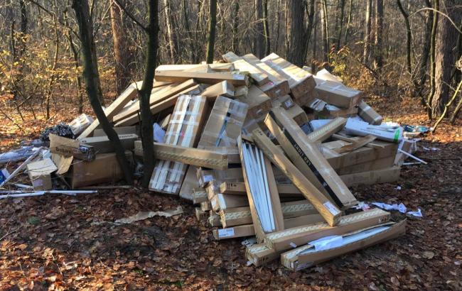 В Киеве спасатели за ноябрь ликвидировали 4 свалки ртутных ламп