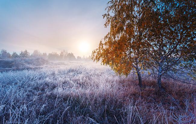 Погода на сегодня: в Украине переменная облачность, температура до +9