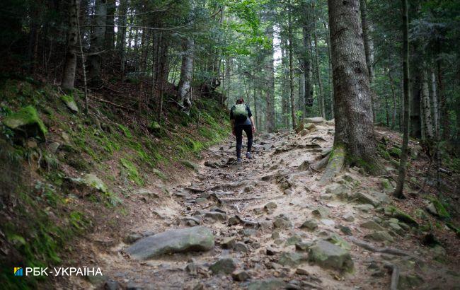 В Киевской области гражданским запретили посещать леса