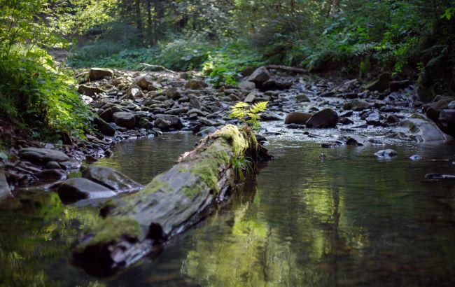 На западе Украины повышается уровень воды: возможны подтопления дорог и угодий