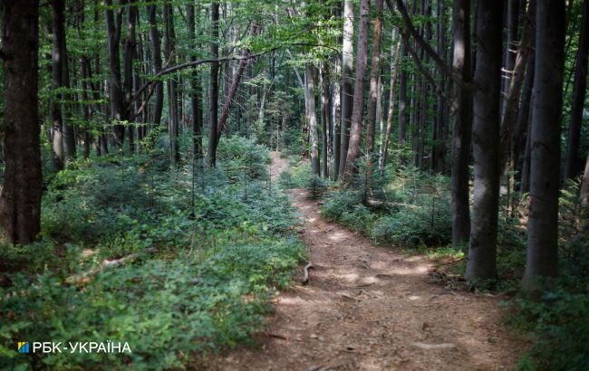 В Одесской области запретили заезжать и заходить на территории лесов