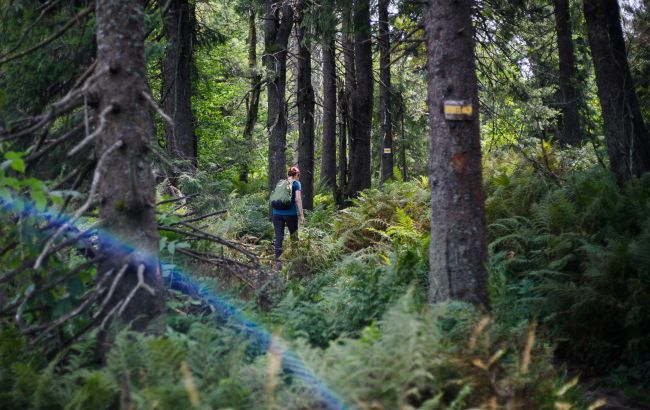 Чому збереження природи приносить вигоди економіці