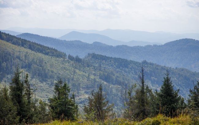 В Карпатах объявили штормовое предупреждение