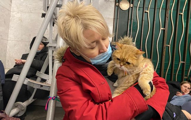 Власникам домашніх тварин дали корисні поради у воєнний час