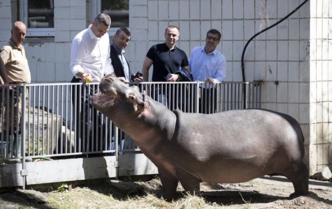 Кличко рассказал об этапах реконструкции Киевского зоопарка