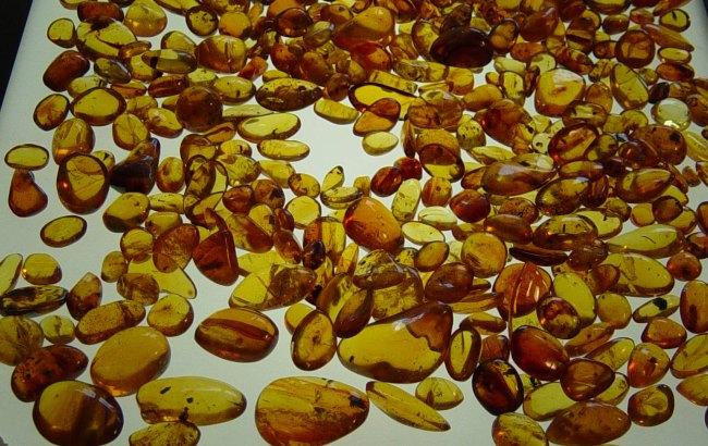 В Волынской области изъято около 200 кг янтаря