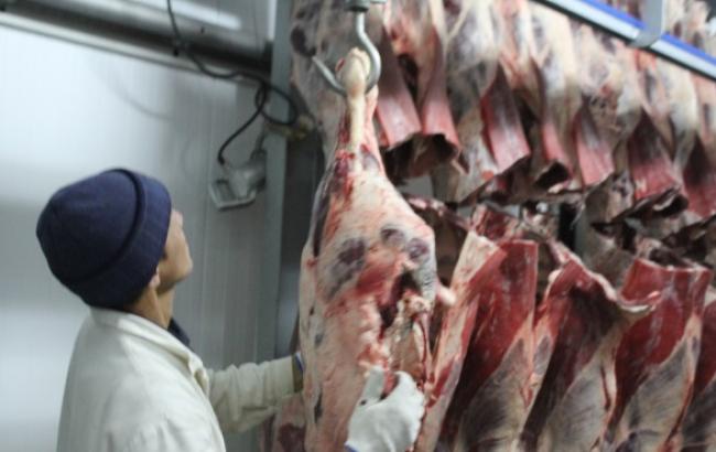 Україна за 9 місяців збільшила експорт м'яса і субпродуктів птиці на 22% до 124 тис. тонн