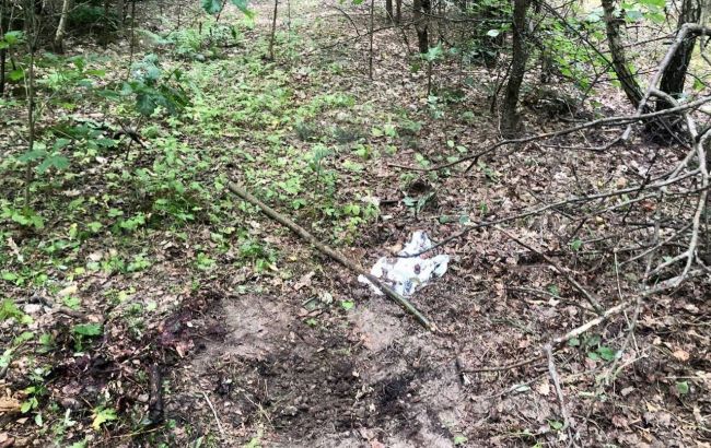 Під Києвом у лісі на міні підірвалася жінка