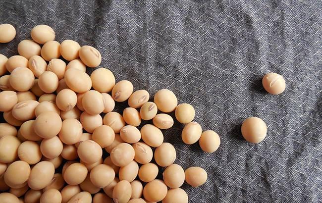 Участники рынка поддержали отмену налоговых льгот на сою