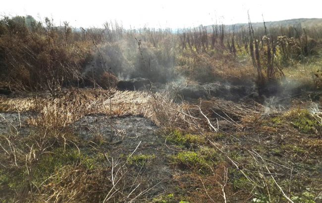 В Полтавской области 9 день горит торф, пожар тушат 57 спасателей