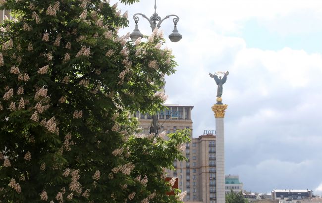 Невидима загроза. Що не так із каштанами в Києві