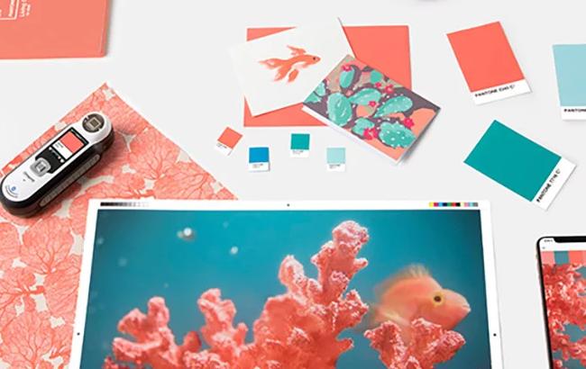 Как Pantone выбирает главный цвет года: тайна раскрыта