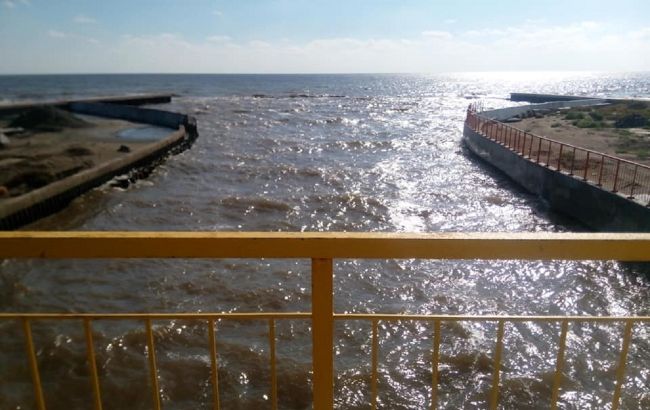 В Одессе море поменяло цвет, а ночью светится: названа причина феномена