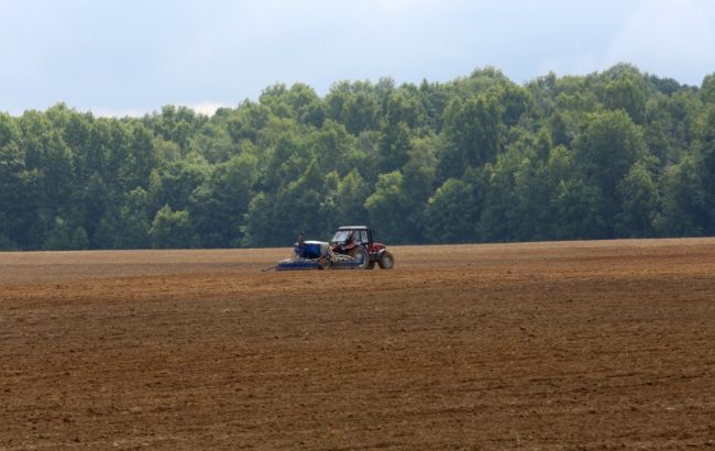 Рынок земли в Украине: в Минагрополитики назвали количество сделок по продаже