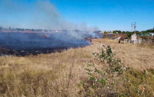 Пламя могло перейти на жилое пространство: в Харьковской области загорелся камыш