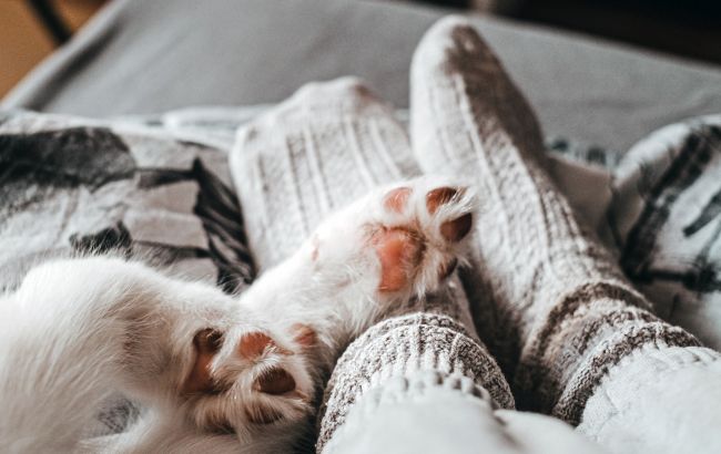 Почему нельзя спать в носках: что говорят врачи и народные приметы