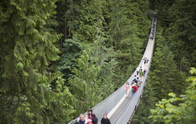 В Колумбии из-за обрушения подвесного моста погибли 11 человек