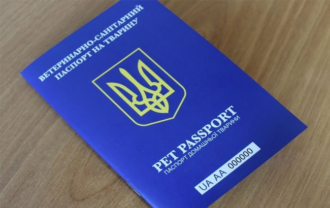 Без цього документа не випустять за кордон: як отримати ветпаспорт на улюбленця
